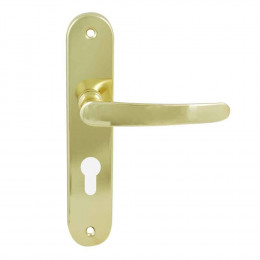 Poignée plaqué cylindre entraxe 165mm Ludon laitonné