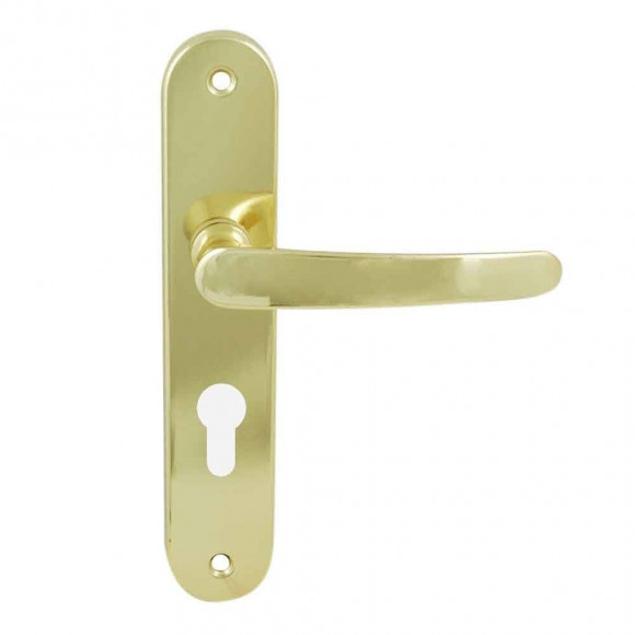 Poignée plaqué cylindre entraxe 165mm Ludon laitonné