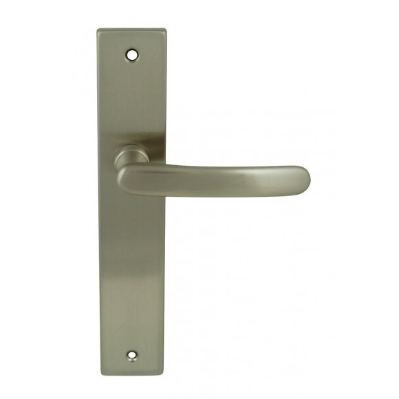 Poignée sur plaqué bec de canne Gabriel nickel mat ent 195mm