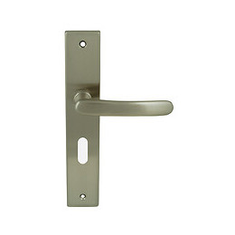 Poignée sur plaqué clé Gabriel nickel mat entr 195mm