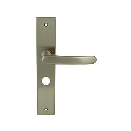 Poignée sur plaqué condamnation Gabriel nickel mat entraxe 195mm