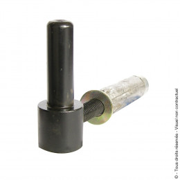 Gond à visser + cheville métal Longueur 110mm zingué