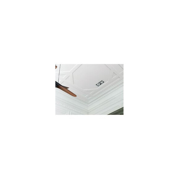 Corniche Classique Avec Un Motif Détaillé De Feuilles C201