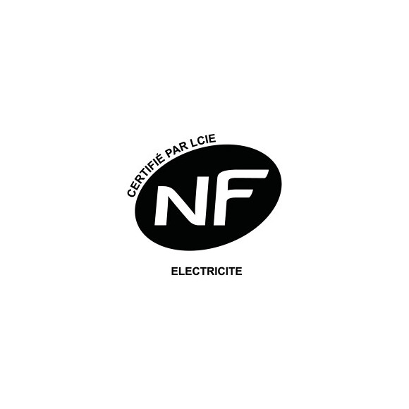 PANNEAU RAYONNANT 1000W