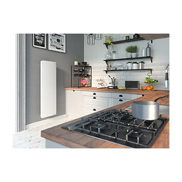 Radiateur Ekla sauter vertical 1000W