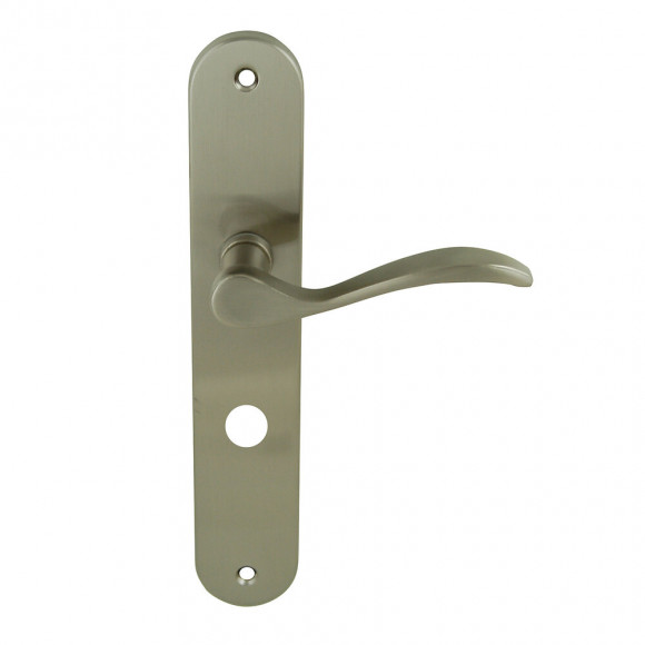 Poignée sur plq cond Botzaris nickel mat entr 195mm