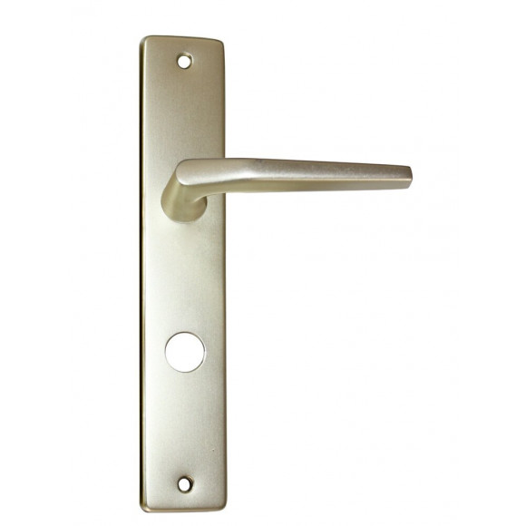 Ensemble poignées de porte alu champagne serrure avec condamnation