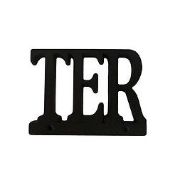 Inscription TER adhésif en zamak noir 60mm