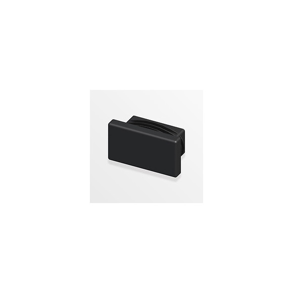 2 embouts rectangulaires rentrant 19.5mm noir