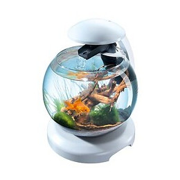 Tetra cascade globe blanche