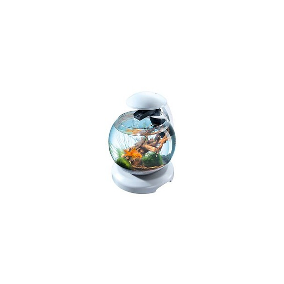 Tetra cascade globe blanche