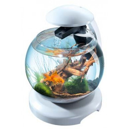 Tetra cascade globe blanche