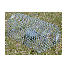 Stoppeur joints - bouchons de vidange LINKAR+