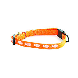 Collier pour chat MARTIN SELLIER Argent en nylon orange