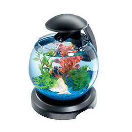 Aquarium cascade globe TETRA noir 6.8L