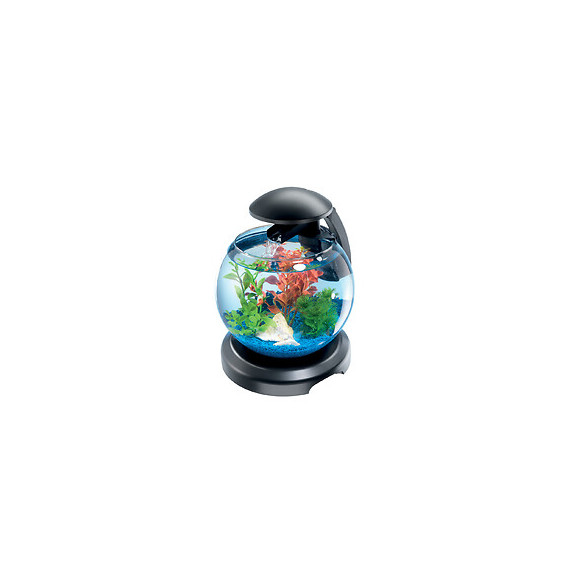 Aquarium cascade globe TETRA noir 6.8L