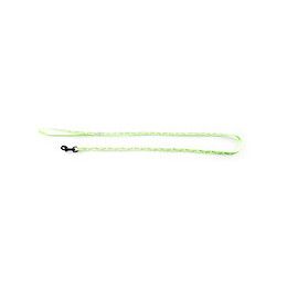 Laisse pour chat Fluo fish en nylon vert