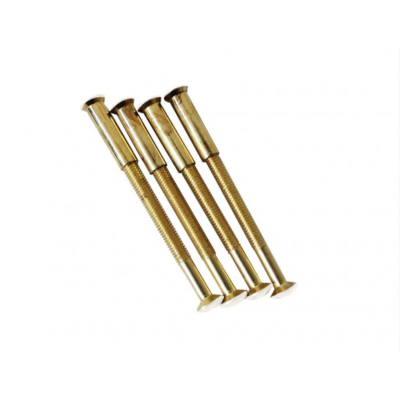 Carte 4 vis 45 mm relié 1 embout couleur or tête couleur blanc