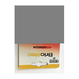 Piles boutons x2 cr 2025