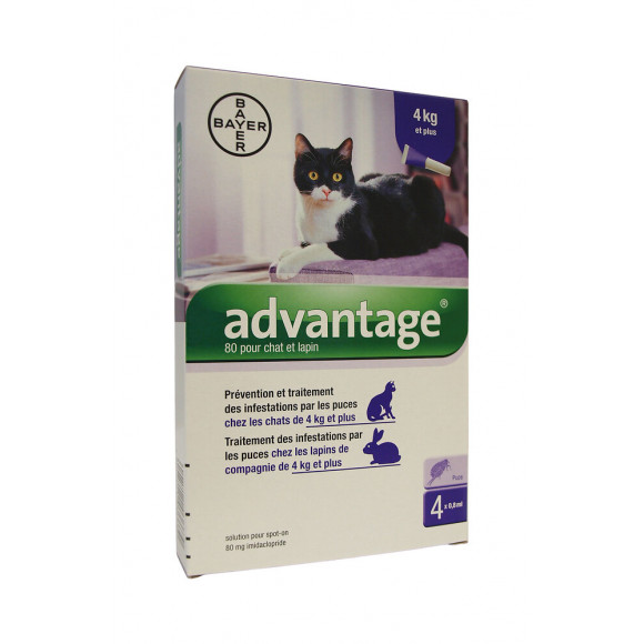 Antiparasitaire externe pour chats et lapins Advantage 80 x4