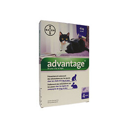 Antiparasitaire externe pour chats et lapins Advantage 80 x4