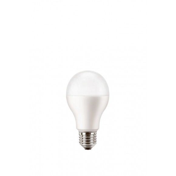 Ampoule LED équivalent 100W Standard E27 2700K dépoli