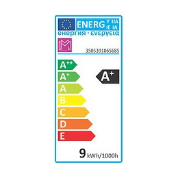 Ampoule LED équivalent 60W Globe 93 E27 2700K dépoli