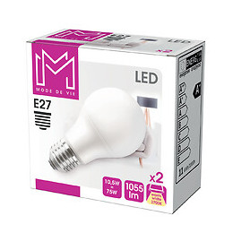 2 Ampoules LED équivalent 75W Standard E27 2700K dépoli