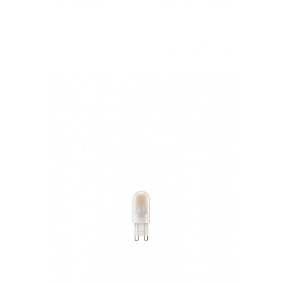 2 Ampoules LED Capsules équivalent 40W G9 2700K