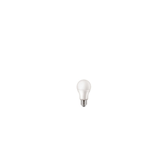 Ampoule LED équivalent 40W Standard E27 4000K dépoli