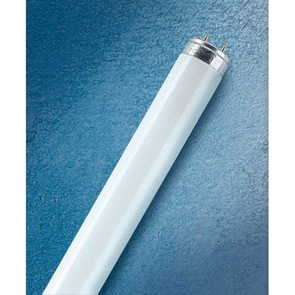 Tube fluorescent T8 36W froid active diamètre 26