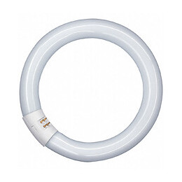 Tube fluorescent circline 32W froid active