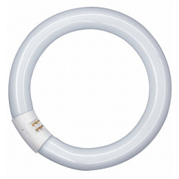 Tube fluorescent circline 32W froid active
