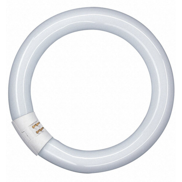 Tube fluorescent circline 32W froid active
