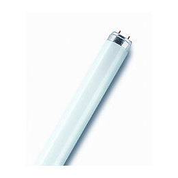 Tube fluorescent T8 58W 840 active diamètre 26