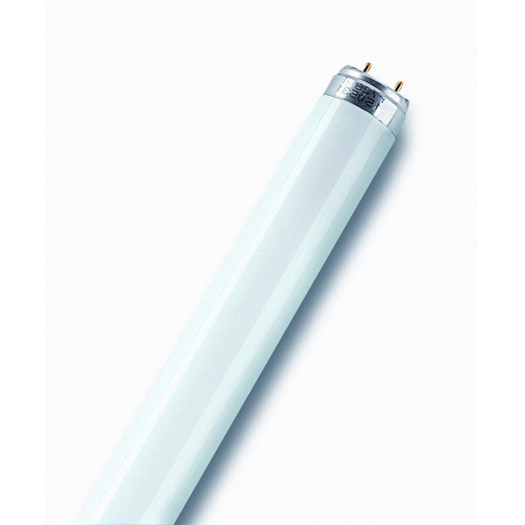 Tube fluorescent T8 58W 840 active diamètre 26