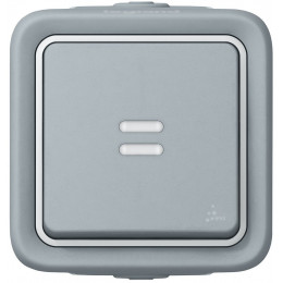 Interrupteur témoin -voyant fourni- Plexo complet saillie - gris