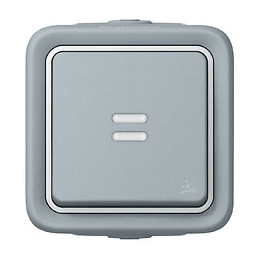 Interrupteur témoin -voyant fourni- Plexo complet saillie - gris