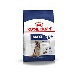 Croquettes chien MAXI ADULT5+ 15kg