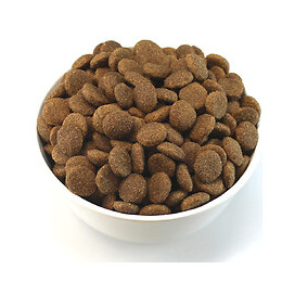 Croquettes chien adulte équilibre 15kg