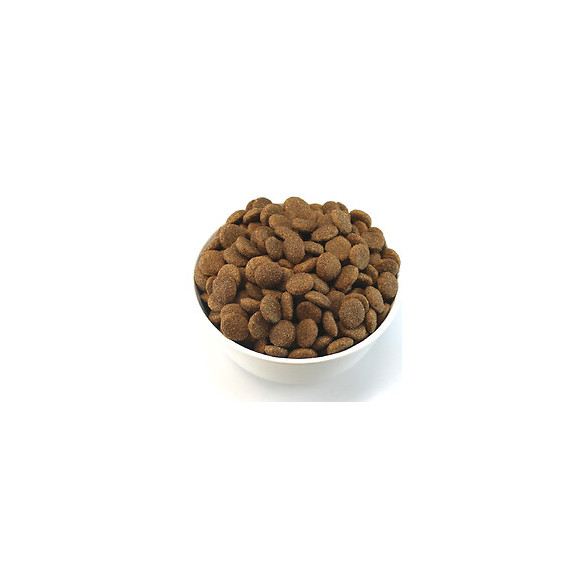 Croquettes chien adulte équilibre 15kg