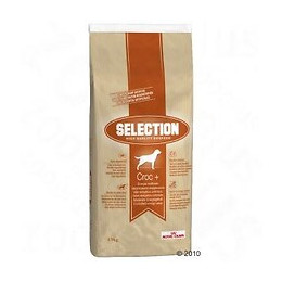Croquettes chien SELECTION High Quality CROC+ 15kg