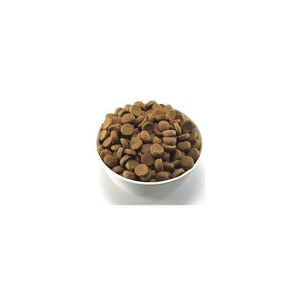 Croquettes chien adulte standard 4kg