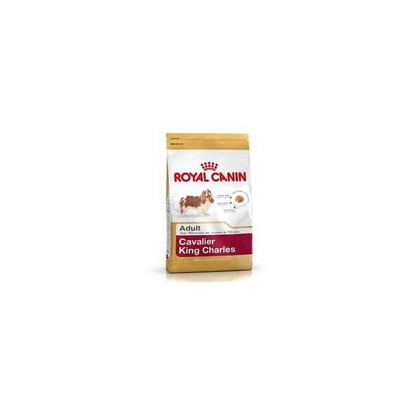 Croquettes chien CAVALIER KING CHARLES ADULT PLUS DE 10 MOIS 1.5KG