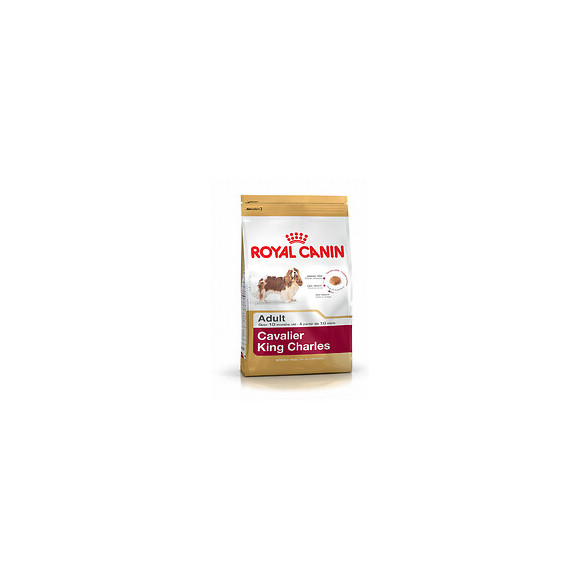 Croquettes chien CAVALIER KING CHARLES ADULT PLUS DE 10 MOIS 3KG