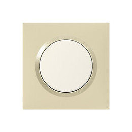 Plaque carrée dooxie 1 poste finition dune