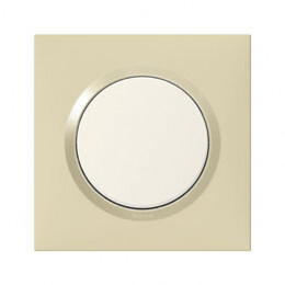 Plaque carrée dooxie 1 poste finition dune