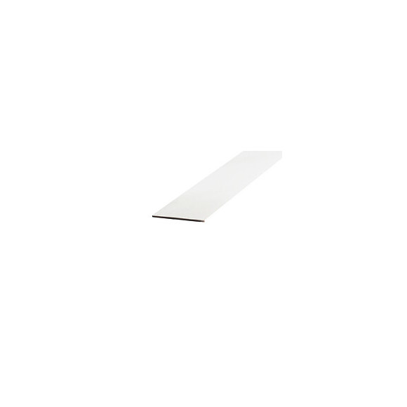 Champlat PVC blanc 2x30mm L.2.60m