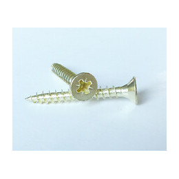 Sachet 40 vis agglo tête fraisée pozi acier laitonné 2,5x16mm FORTFIX