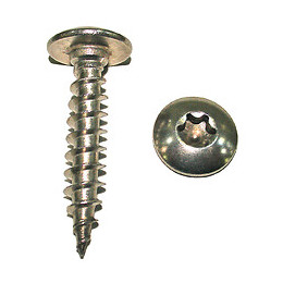 10 vis penture tête cylindrique torx inox A2 6x50mm